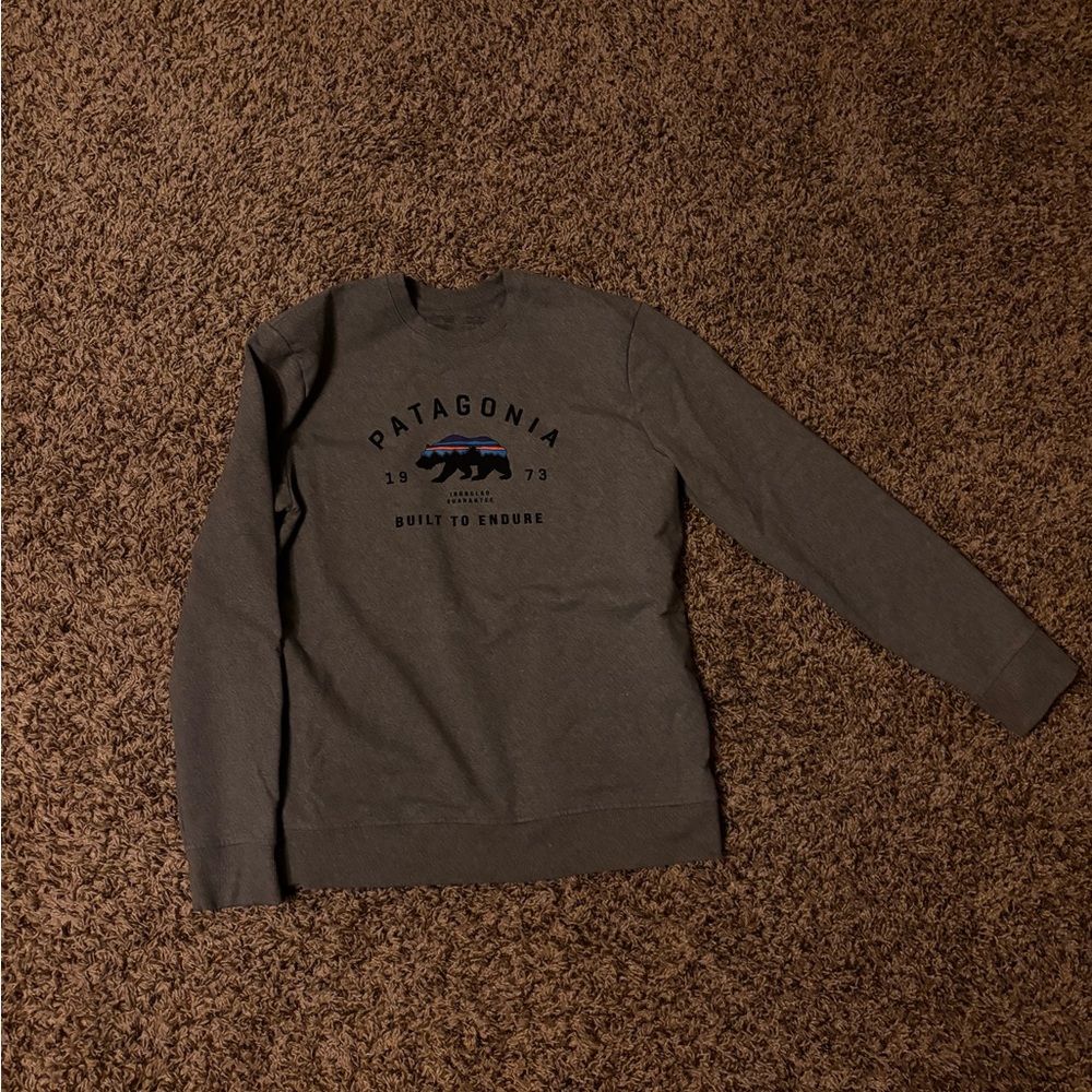 Patagonia Sweatshirt